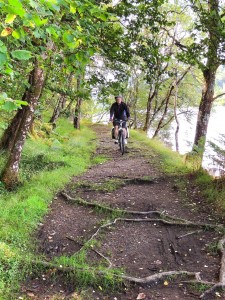 Roots were a feature of the path along Loch Oich