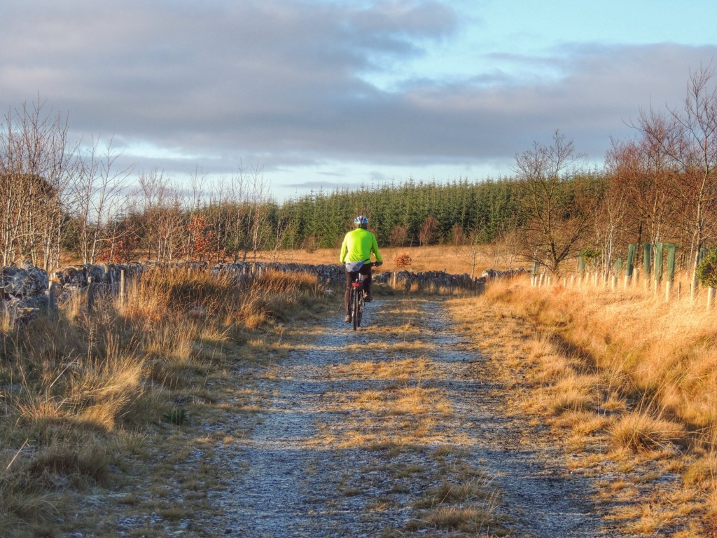Cycling along the frosty track