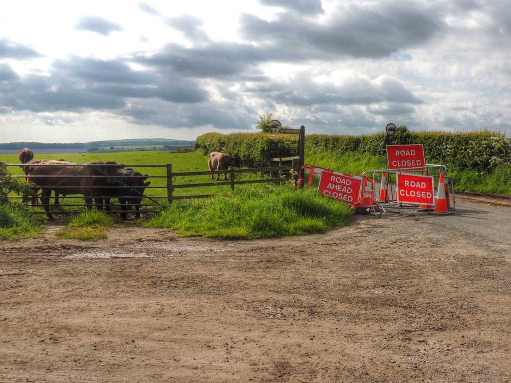 Yet another closed road, courtesy of the Borders Railway project...